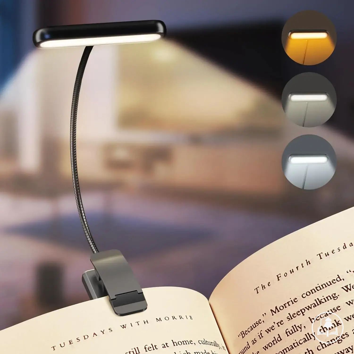 Lampe de livre à clip rechargeable USB avec bras flexible
